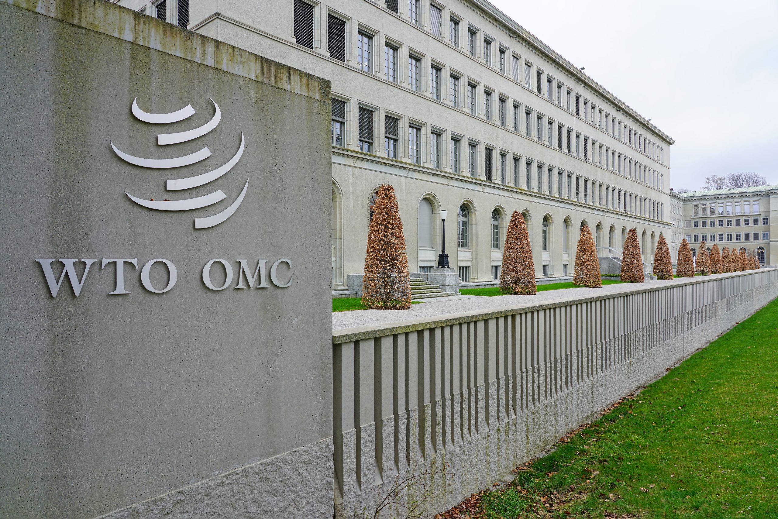 《焦點》世貿組織總幹事：舊有世界秩序不復存在，需改革貿易規則、著眼未來