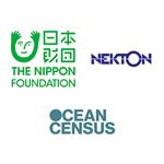 Scientists discover over 1,100 new marine species in landmark Ocean Census